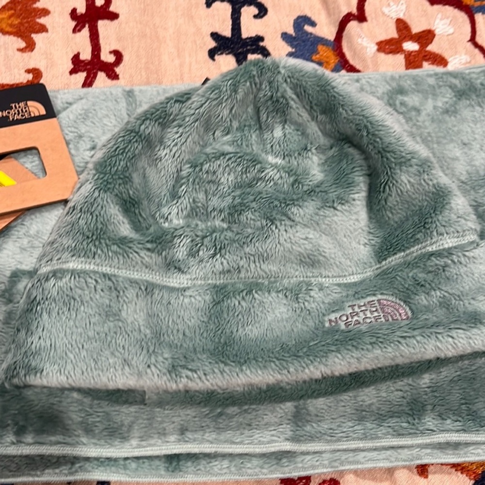 North Face L/XL Beanie Only. Sage color